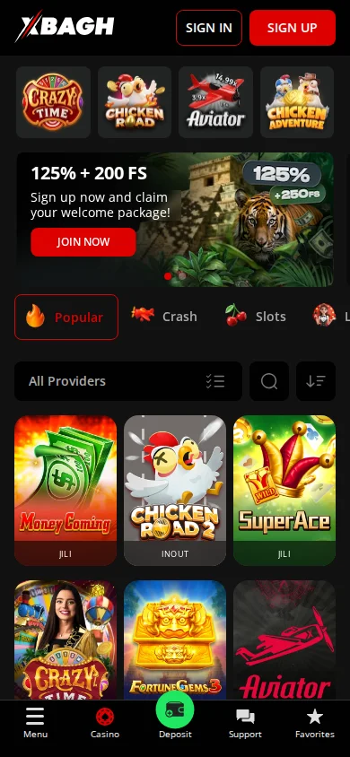 Casino xBagh Mobile and App Access